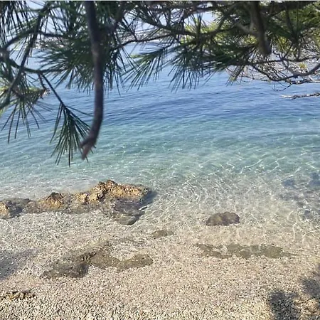 Lav * Umag